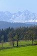 Tatra mountains as seen from Bukowina Tatra mountains as seen from Bukowina