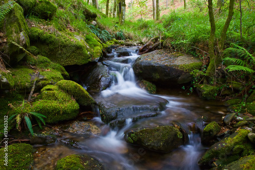 Photo: Creek Creek