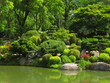 Jardin Japonais