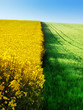 Agriculture