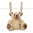 Petit ours brun suspendu sur une ligne