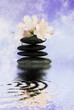 equilibrio 2