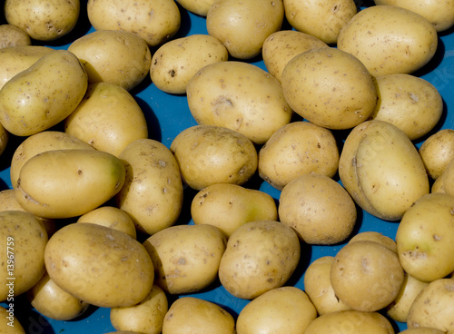 Foto: Kartoffeln auf dem Wochenmarkt Kartoffeln auf dem Wochenmarkt