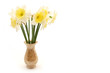 bouquet of spring flowers in vase, isolated on white background