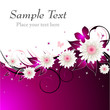 Pink Floral Background Pink Floral Background