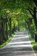 Allee im Frühling 2