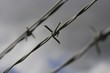 Closeup of barbed wire fencing