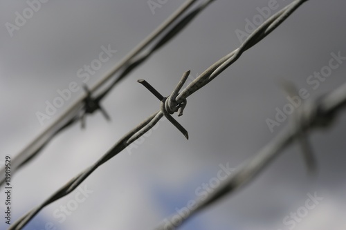 Photo: Closeup of barbed wire fencing Closeup of barbed wire fencing