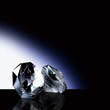 Diamonds