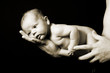 Studio: Baby auf dem Unterarm des Vaters