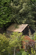 Garden shed