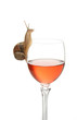 consommation d'alcool consommation d'alcool
