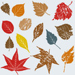 Weathered Leaf Set Weathered Leaf Set