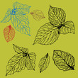 Green Leaf Set Green Leaf Set