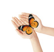 Butterfly and hands