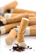 cigarette écrasée