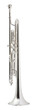 Silver Trumpet Standing