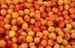 étal d’abricots au marché