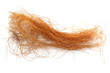 stigmates ou barbes de maïs