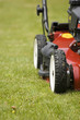 Mowing grass with my new lawnmower