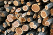 Firewood stack