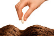 hand seeding