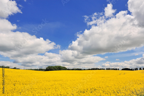 raps in mecklenburg