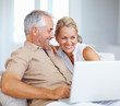 An attractive senior couple enjoying while working on a laptop
