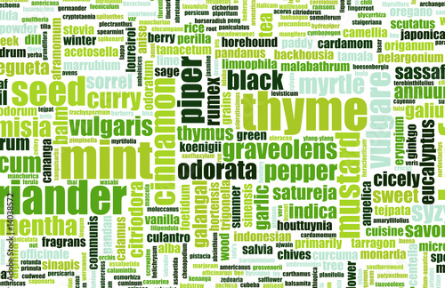 Illustration: Herbs Herbs