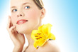 portrait beauty woman face portrait beauty woman face