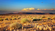 Photo: Sunset in Kalahari Desert Sunset in Kalahari Desert