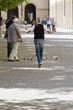 Boccia Boule