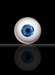 Isolated Eyeball