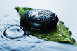 spa stone on leaf in water
