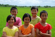 Children hanging in the rice field Children hanging in the rice field