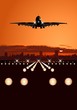 Airliner landing at skyline