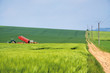 Champs_tracteur_1