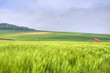 Champs_tracteur