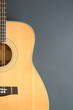 Acoustic Guitar