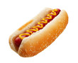 Hot Dog With Mustard