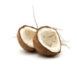 coconut