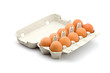 chicken eggs
