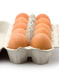 chicken eggs