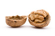 walnut