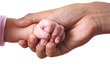 Baby's hand Baby's hand