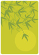 Zen Bamboo Zen Bamboo