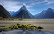 Milford Sound