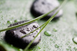 Massage stones