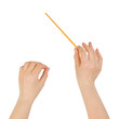 Music conductor Music conductor