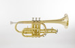 Cornet on White